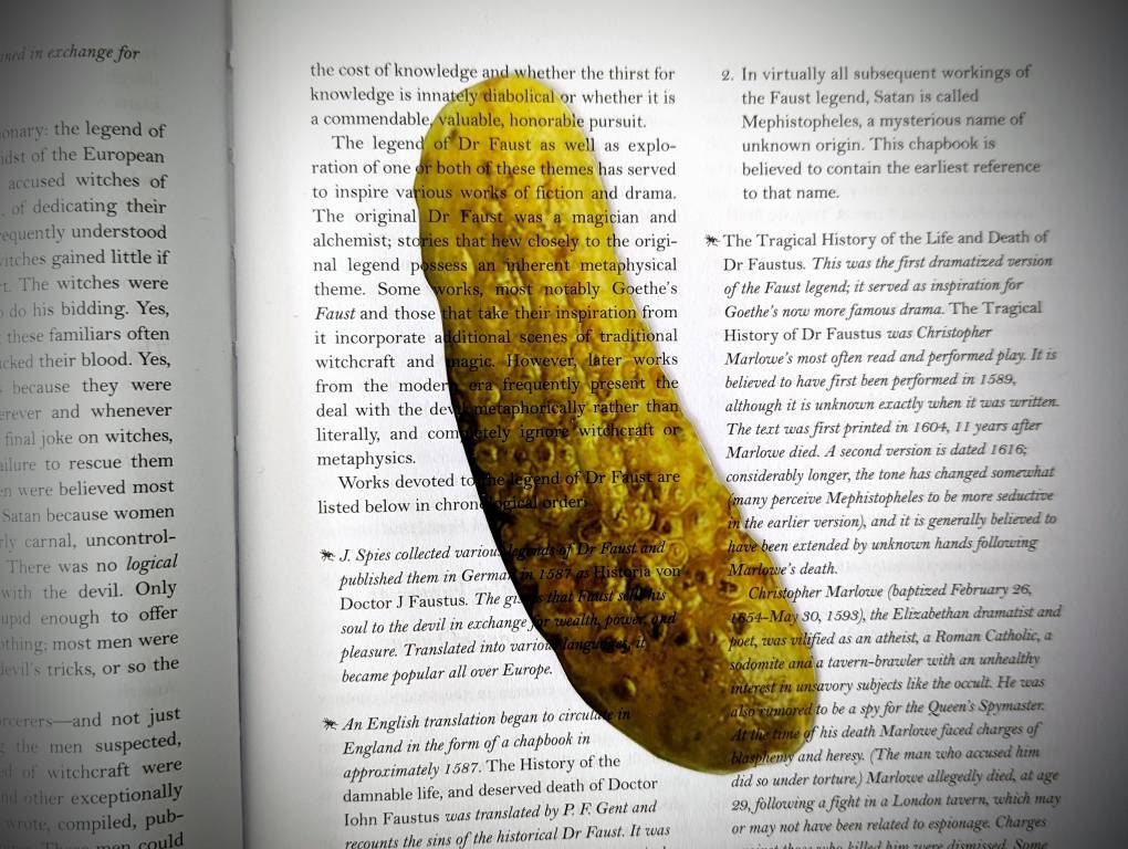 Clear Bookmark Dill Pickle Food Weird Punk Art Gift Funny