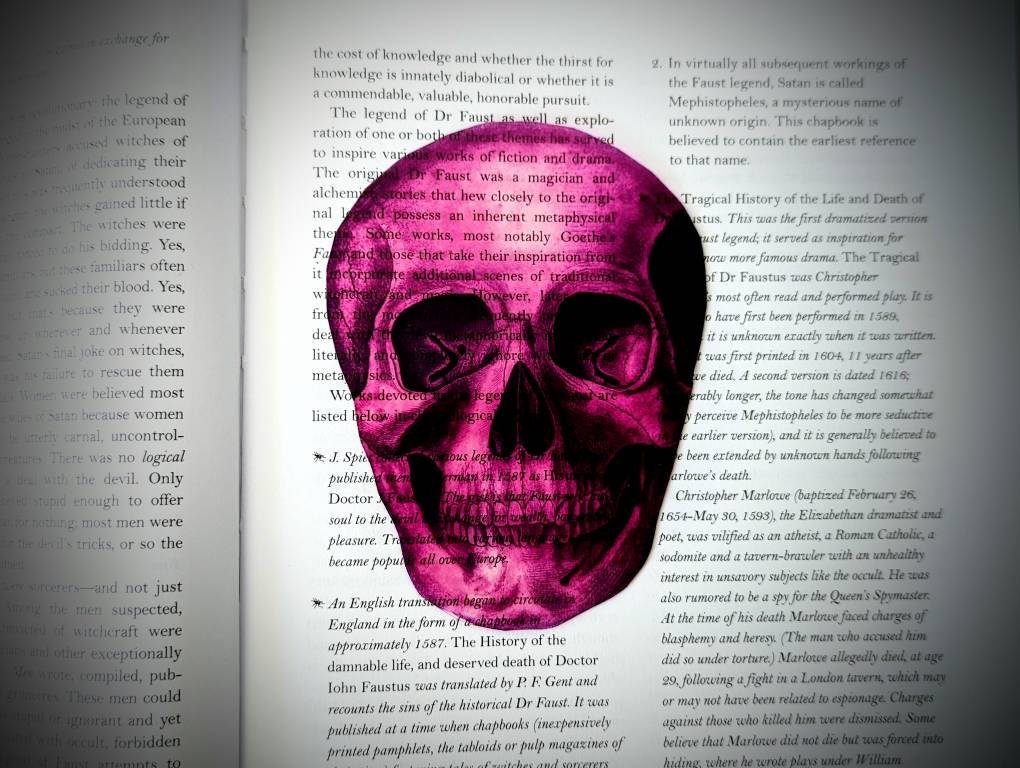 Pink Skull Clear Bookmark Skeleton Goth Gothic Halloween Horror Creepy Spooky Anatomy Oddities