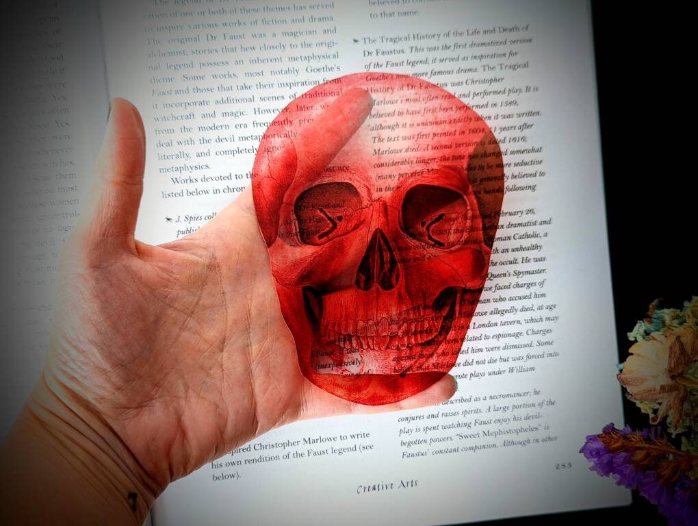 Red Skull Clear Bookmark Skeleton Goth Gothic Halloween Horror Creepy Spooky Anatomy Oddities