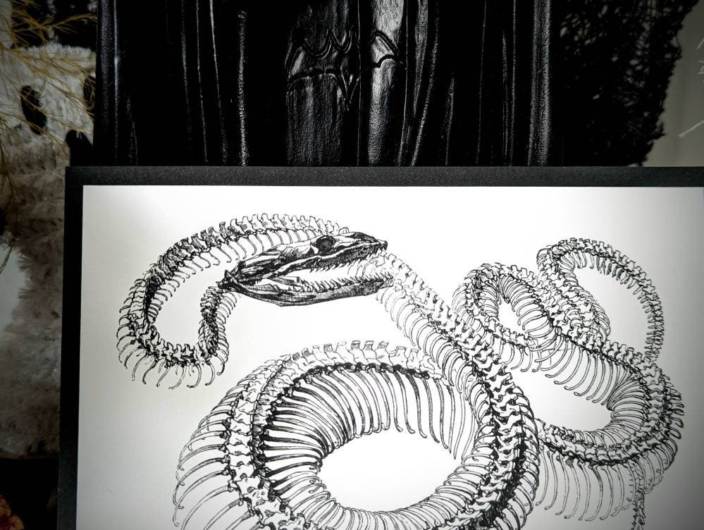 5x7 Art Print Snake Skeleton Goth Gothic Horror Halloween Home Wall Decor Gift Weird Dark Occult Nature