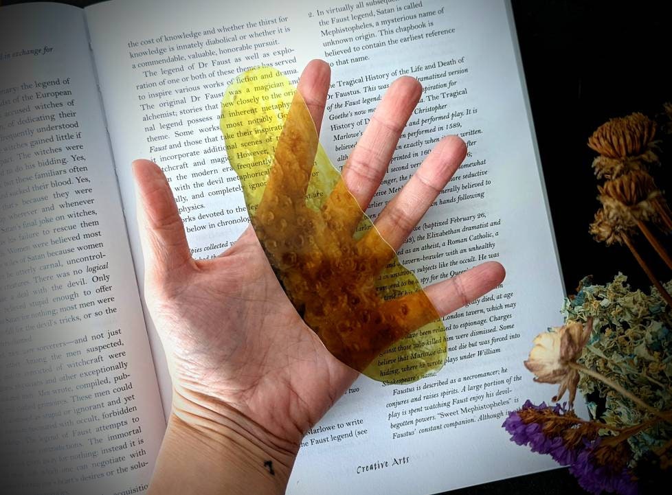 Clear Bookmark Dill Pickle Food Weird Punk Art Gift Funny