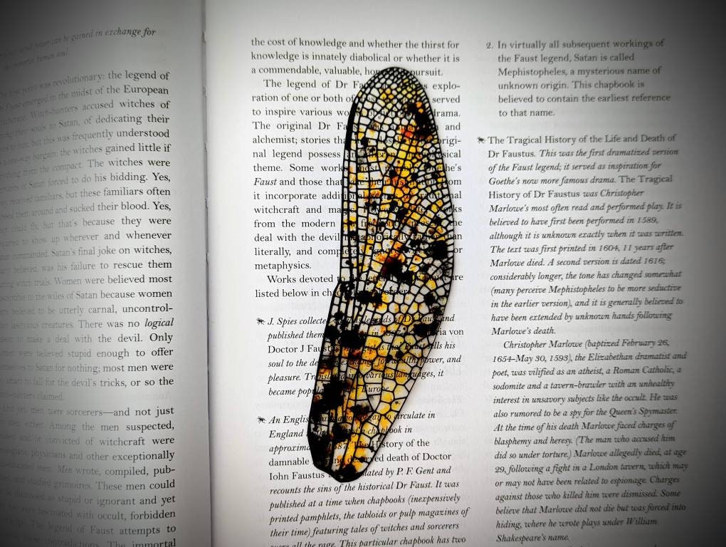 Clear Bookmark Dragonfly Insect Wing Yellow Black Nature Bug Durable Gift