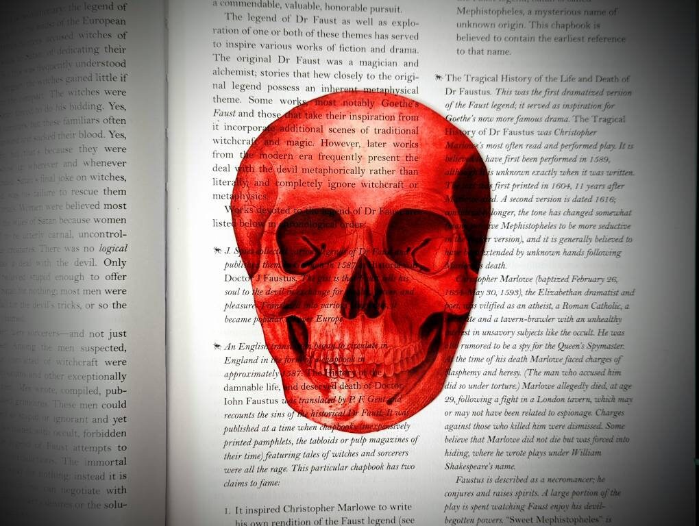 Red Skull Clear Bookmark Skeleton Goth Gothic Halloween Horror Creepy Spooky Anatomy Oddities