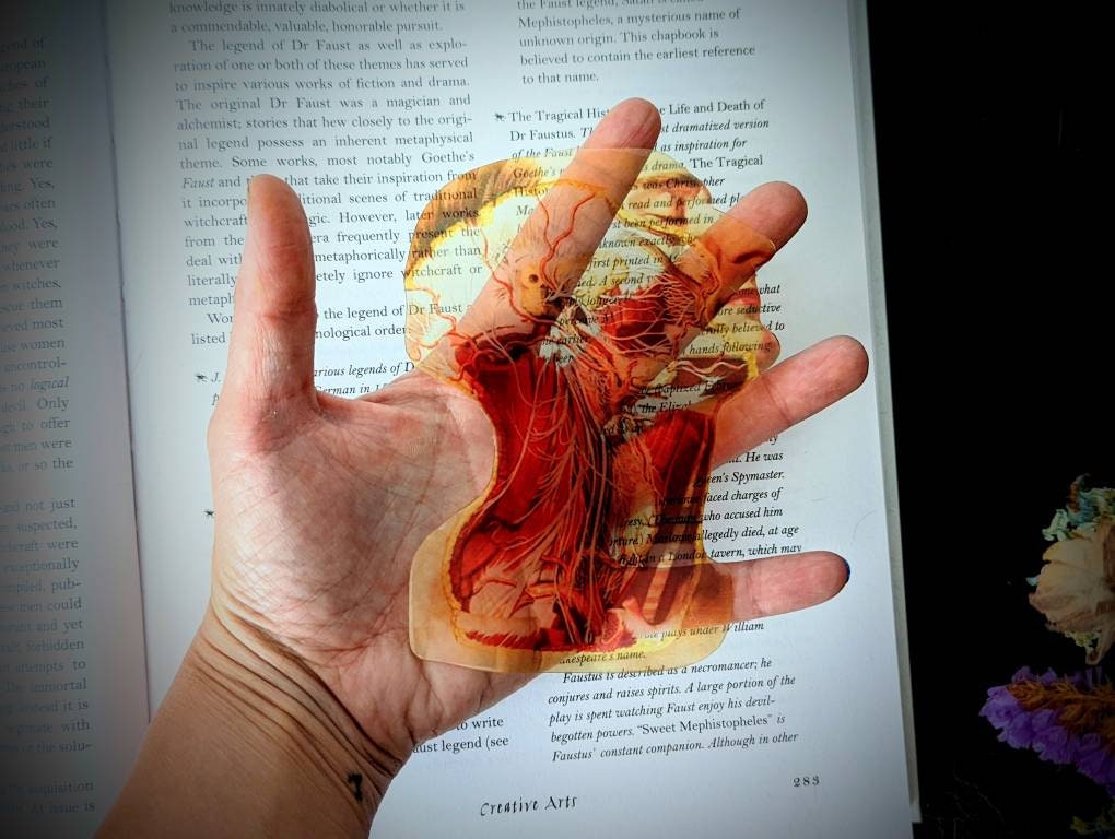 Clear Bookmark Vintage Anatomy Medical Illustration Goth Gothic Halloween Horror Creepy Oddities