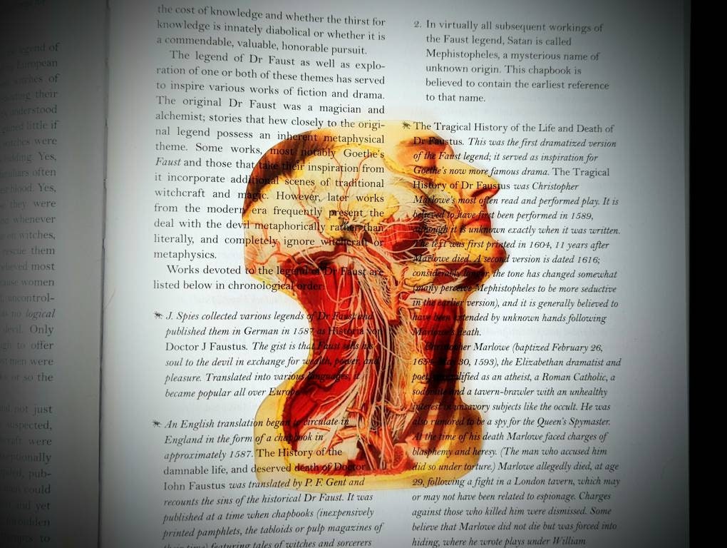 Clear Bookmark Vintage Anatomy Medical Illustration Goth Gothic Halloween Horror Creepy Oddities
