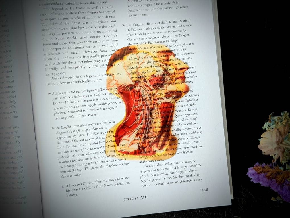 Clear Bookmark Vintage Anatomy Medical Illustration Goth Gothic Halloween Horror Creepy Oddities