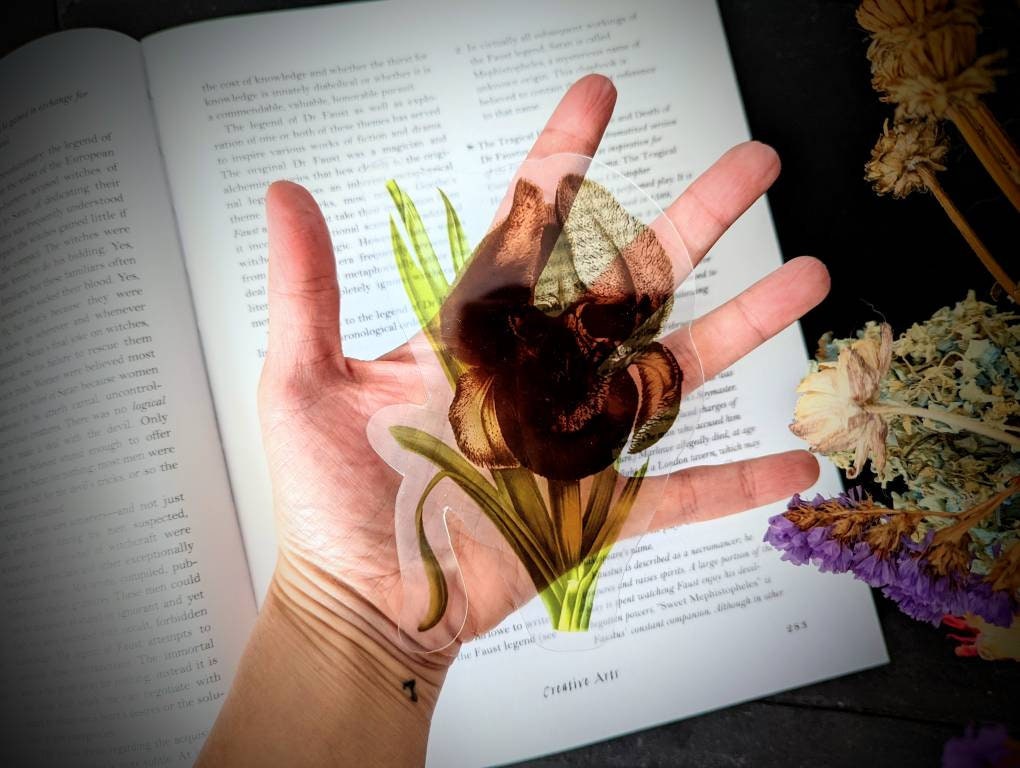 Clear Bookmark Nightmare Iris Flower Skull Skeleton Dark Art Goth Gothic Halloween Horror Creepy Spooky Anatomy