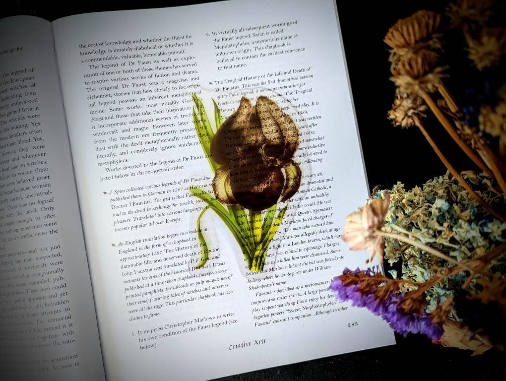 Clear Bookmark Nightmare Iris Flower Skull Skeleton Dark Art Goth Gothic Halloween Horror Creepy Spooky Anatomy