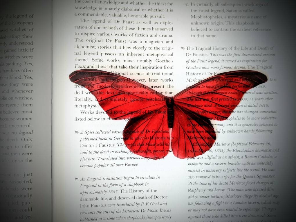 Clear Bookmark Red Moth Butterfly Goth Gothic Halloween Horror Creepy Oddities Nature Bug Insect