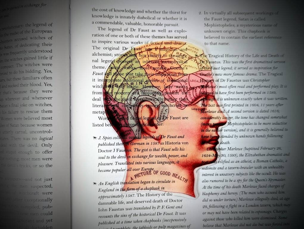 Clear Bookmark Phrenology Brain Cranium Head Human Anatomy Vintage Goth Gothic Halloween Horror Creepy Oddities