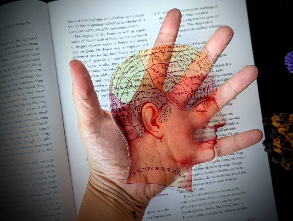 Clear Bookmark Phrenology Brain Cranium Head Human Anatomy Vintage Goth Gothic Halloween Horror Creepy Oddities
