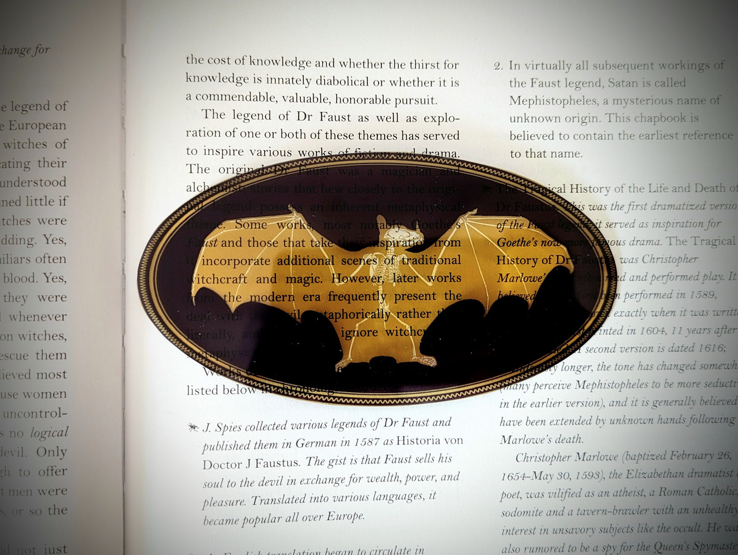 Clear Bookmark Bat Skeleton Gold Frame Victorian Baroque Goth Gothic Halloween Horror Creepy Oddities Unique Dark Weird