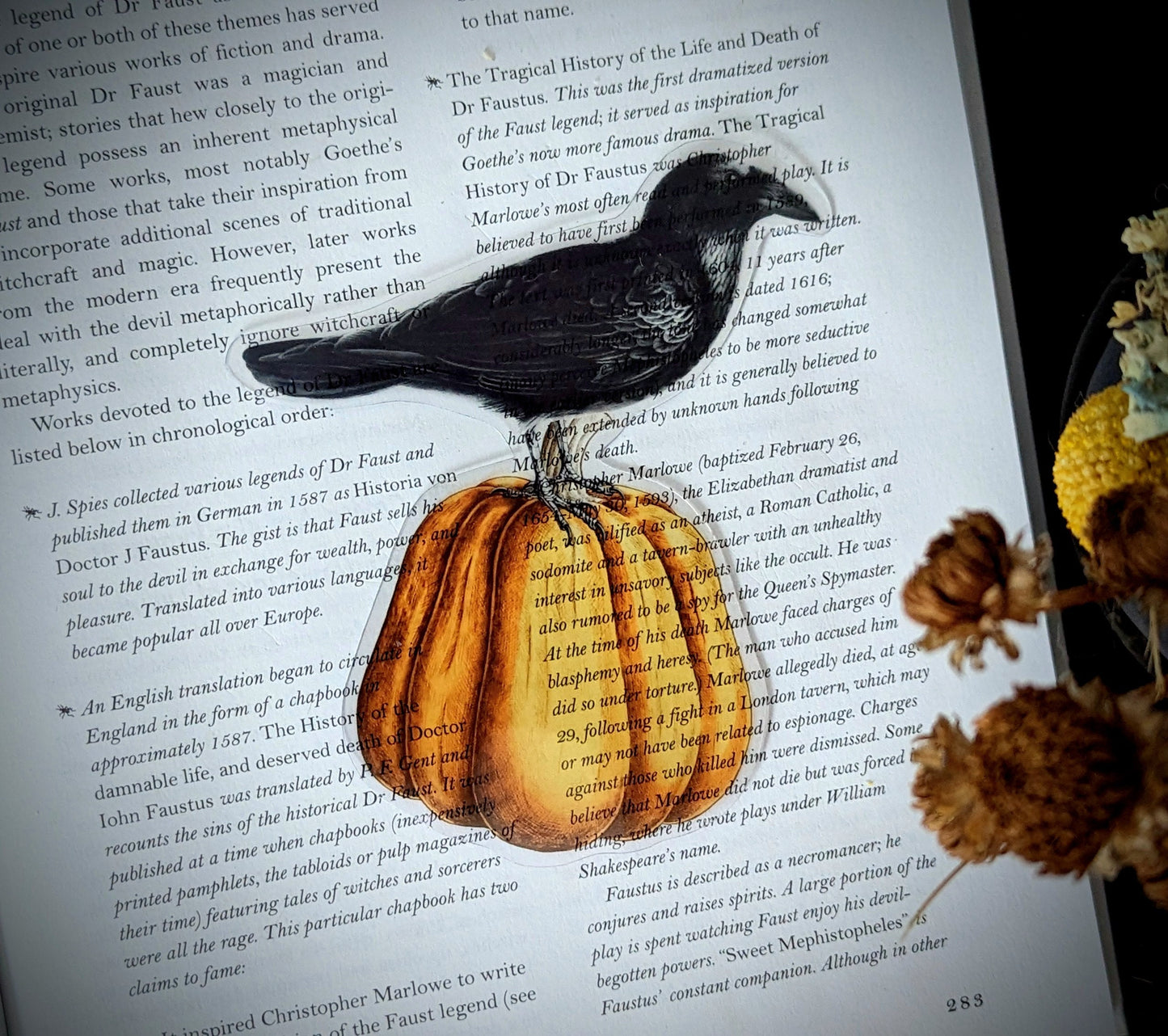 Clear Bookmark Raven Crow Corvus Blackbird Orange Pumpkin Goth Gothic Halloween Horror Dark Academia Handmade Artist Book Reader Lover Gift