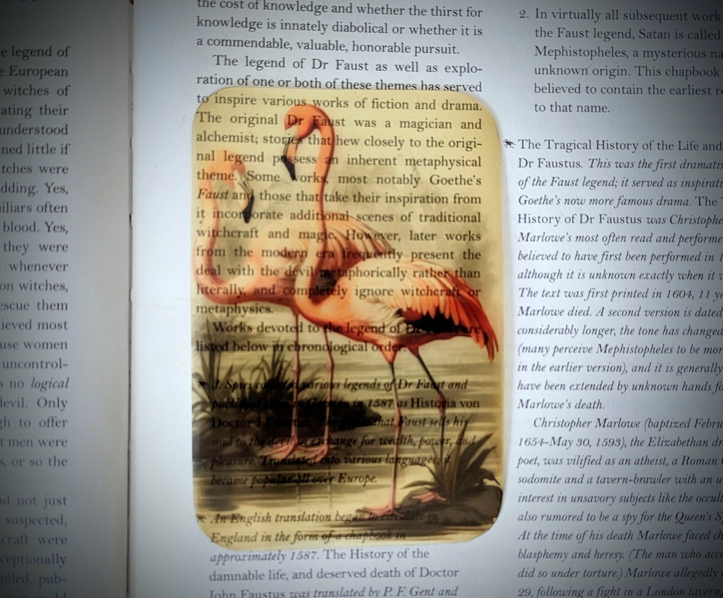 Clear Bookmark Flamingos Nature Illustration Vintage Handmade Artist Book Reader Lover Gift