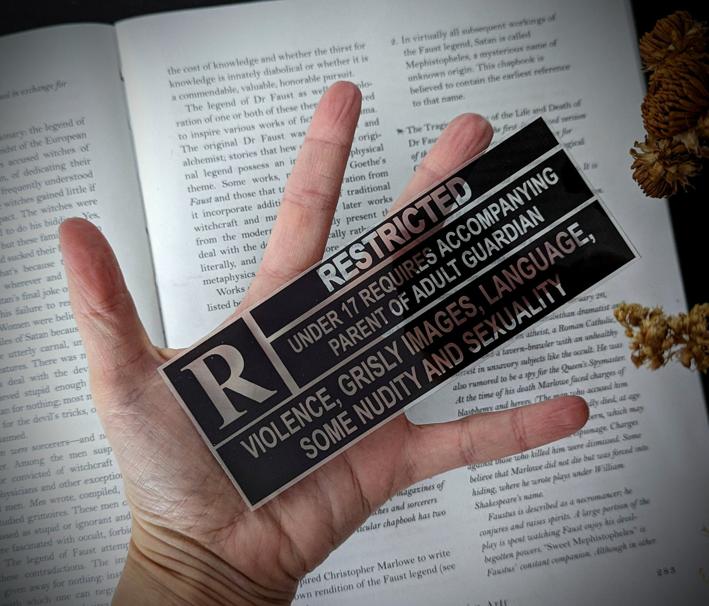 Clear Bookmark R Rating Rated R Goth Gothic Halloween Horror Creepy Oddities Book Lover Reader Gift Handmade Artist