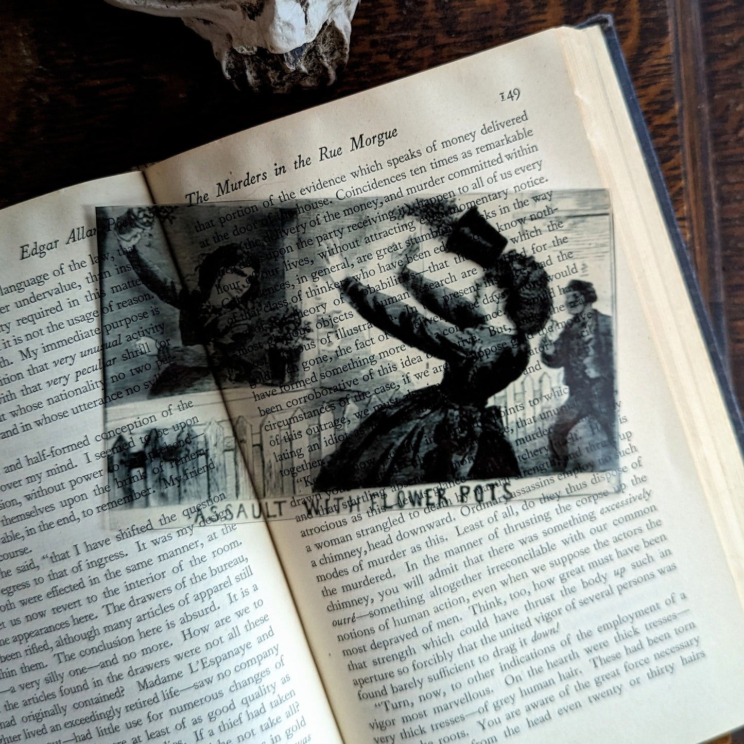 Clear Bookmark London Illustrated Police News Assault By Flower Pots Gothic Halloween Horror Humor Book Lover Reader Gift Handmade Artist