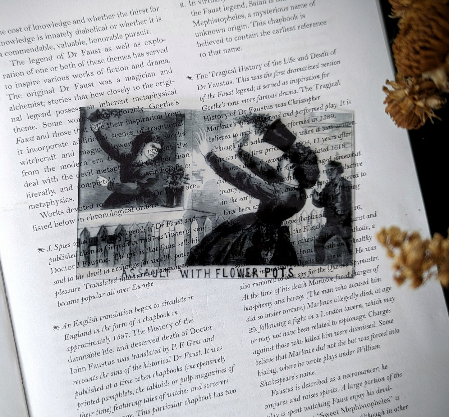 Clear Bookmark London Illustrated Police News Assault By Flower Pots Gothic Halloween Horror Humor Book Lover Reader Gift Handmade Artist