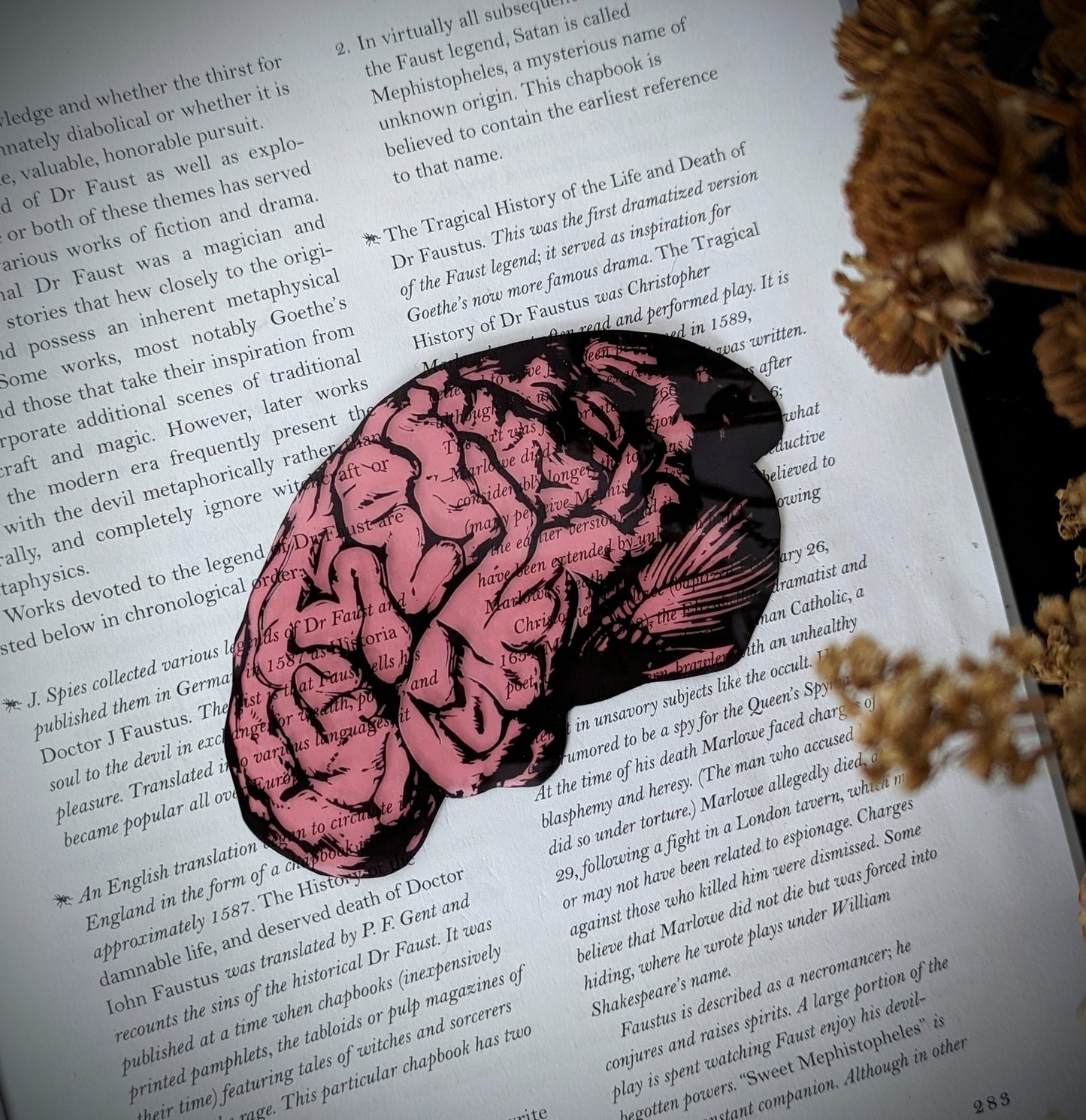 Clear Bookmark Human Brain Medical Anatomy Goth Gothic Halloween Horror Dark Academia Book Lover Reader Gift Handmade Artist