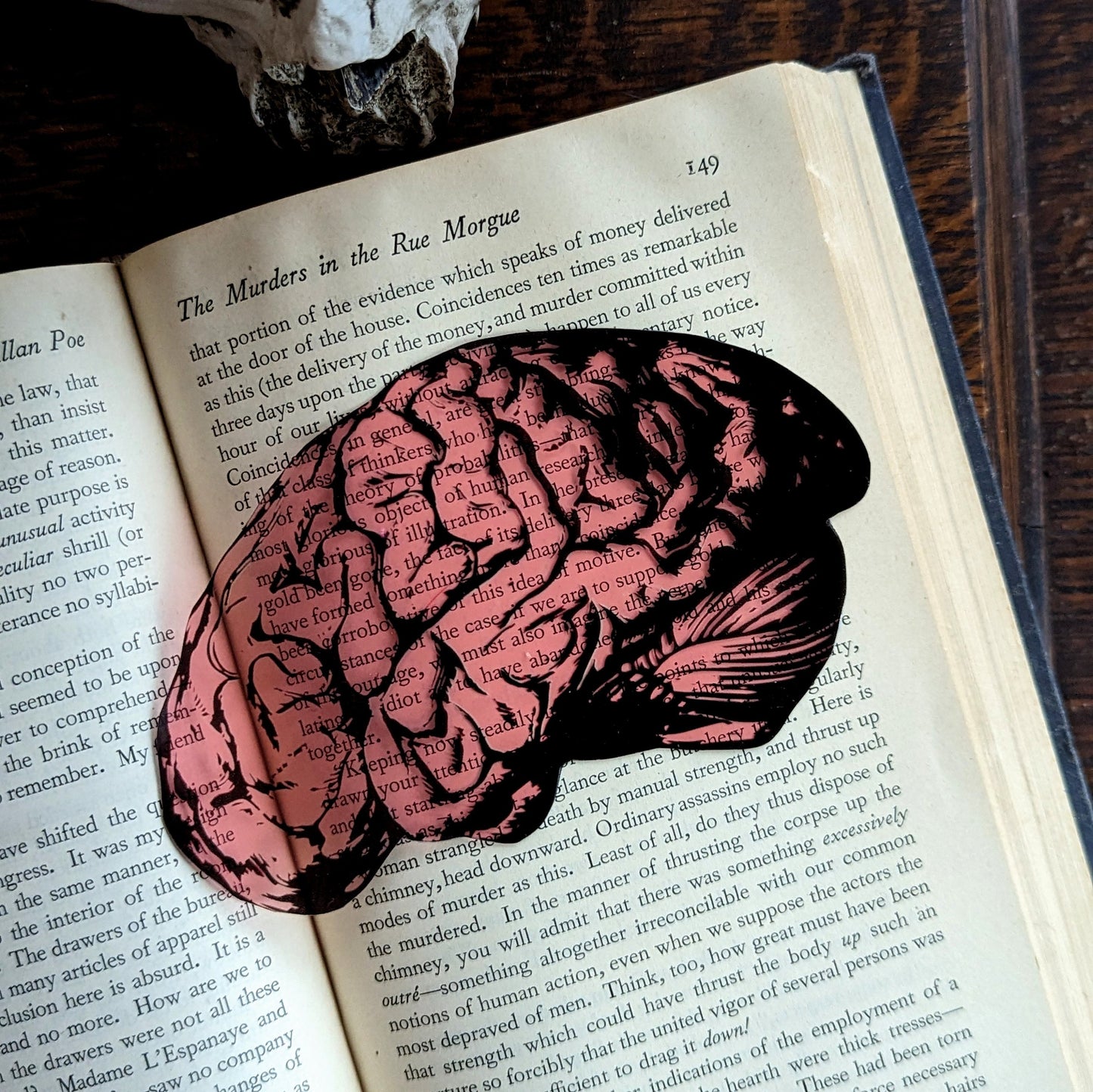 Clear Bookmark Human Brain Medical Anatomy Goth Gothic Halloween Horror Dark Academia Book Lover Reader Gift Handmade Artist