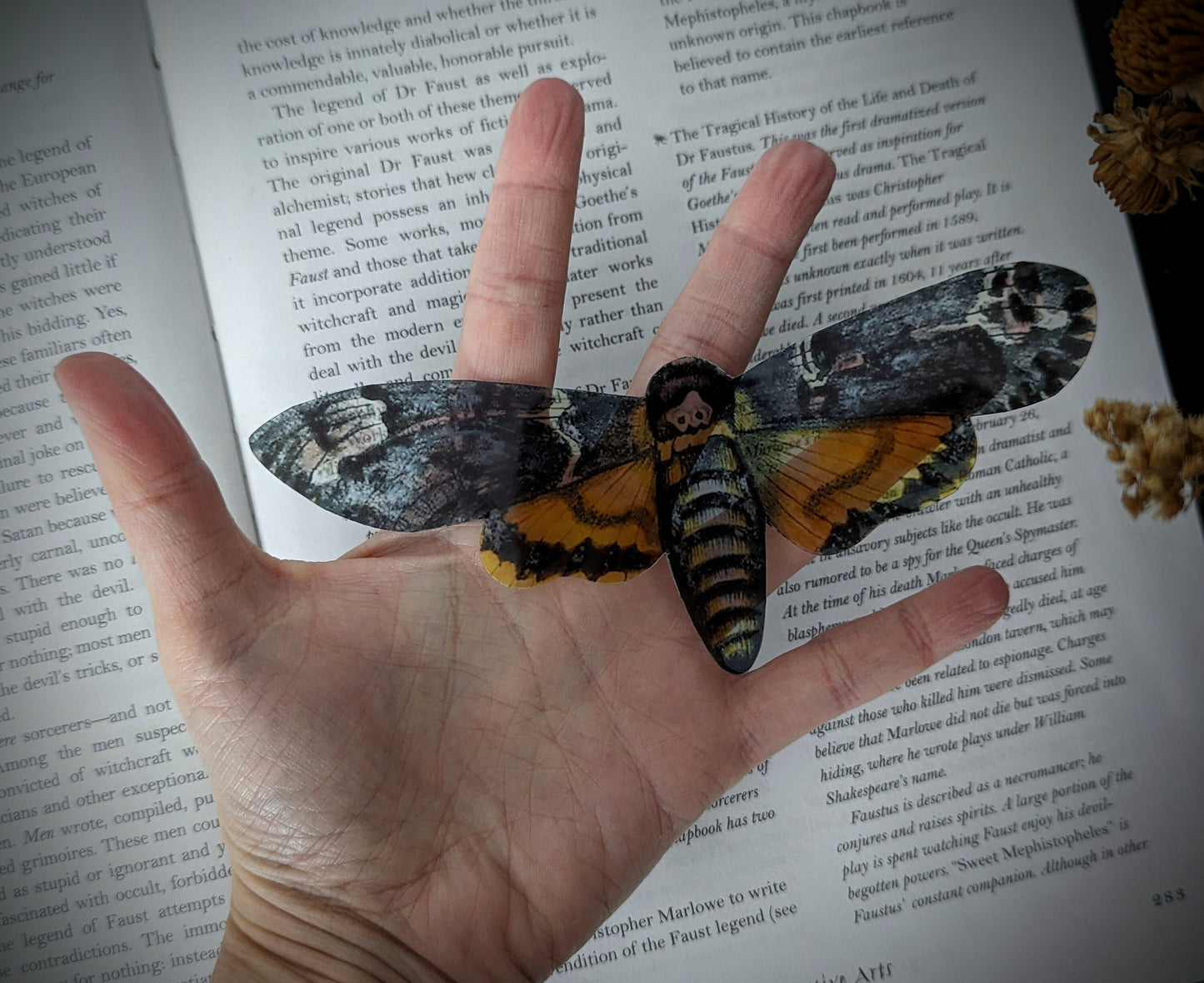 Clear Bookmark Death Head Hawk Moth Goth Gothic Halloween Horror Dark Academia Book Lover Reader Gift Handmade Artist
