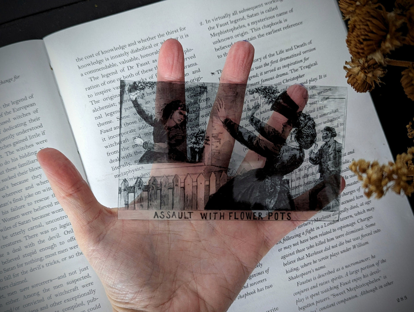 Clear Bookmark London Illustrated Police News Assault By Flower Pots Gothic Halloween Horror Humor Book Lover Reader Gift Handmade Artist