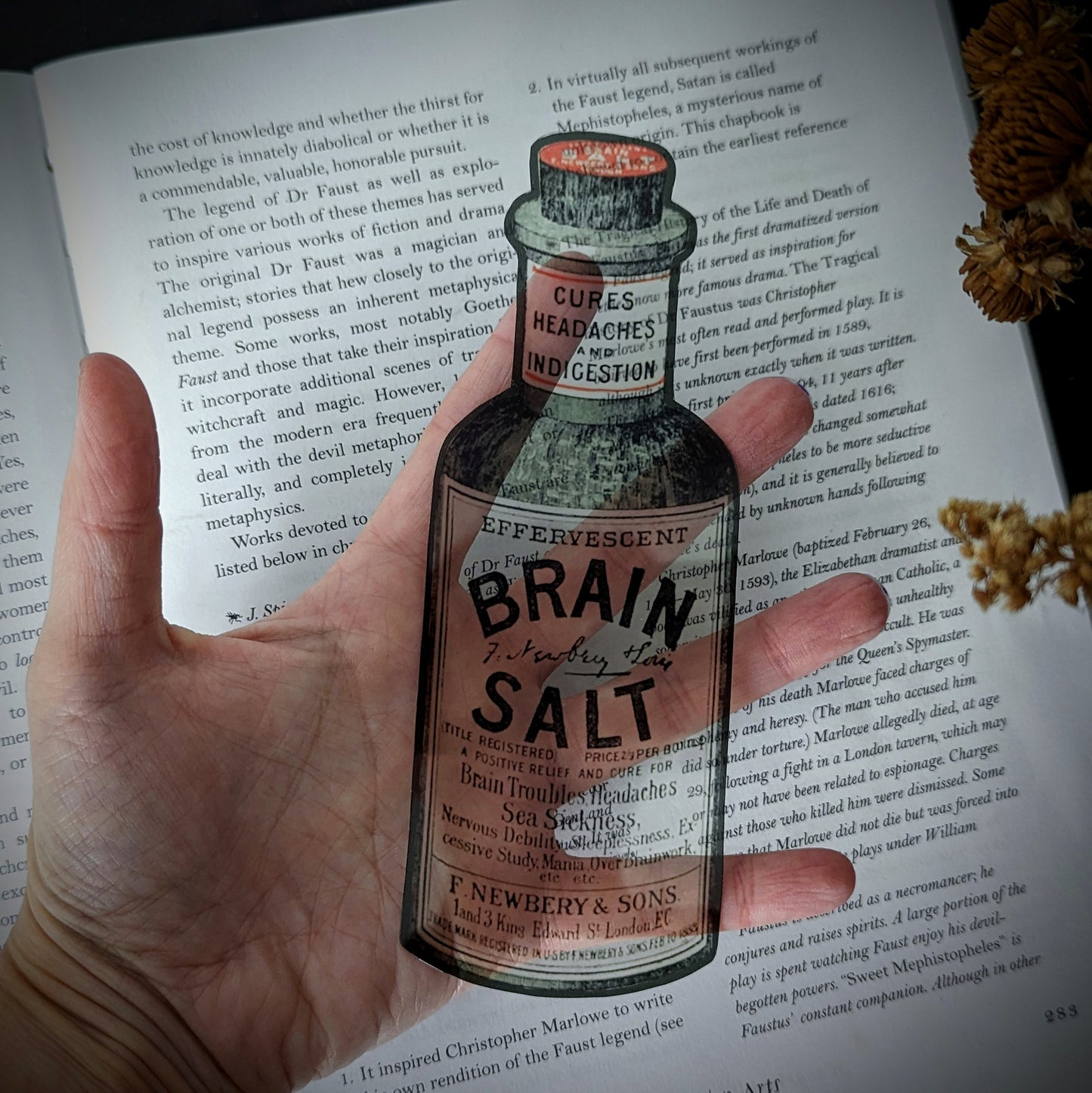 Clear Bookmark Brain Salt Apothecary Bottle Dark Academia Victorian Gothic Halloween Horror Book Lover Reader Gift Handmade Artist