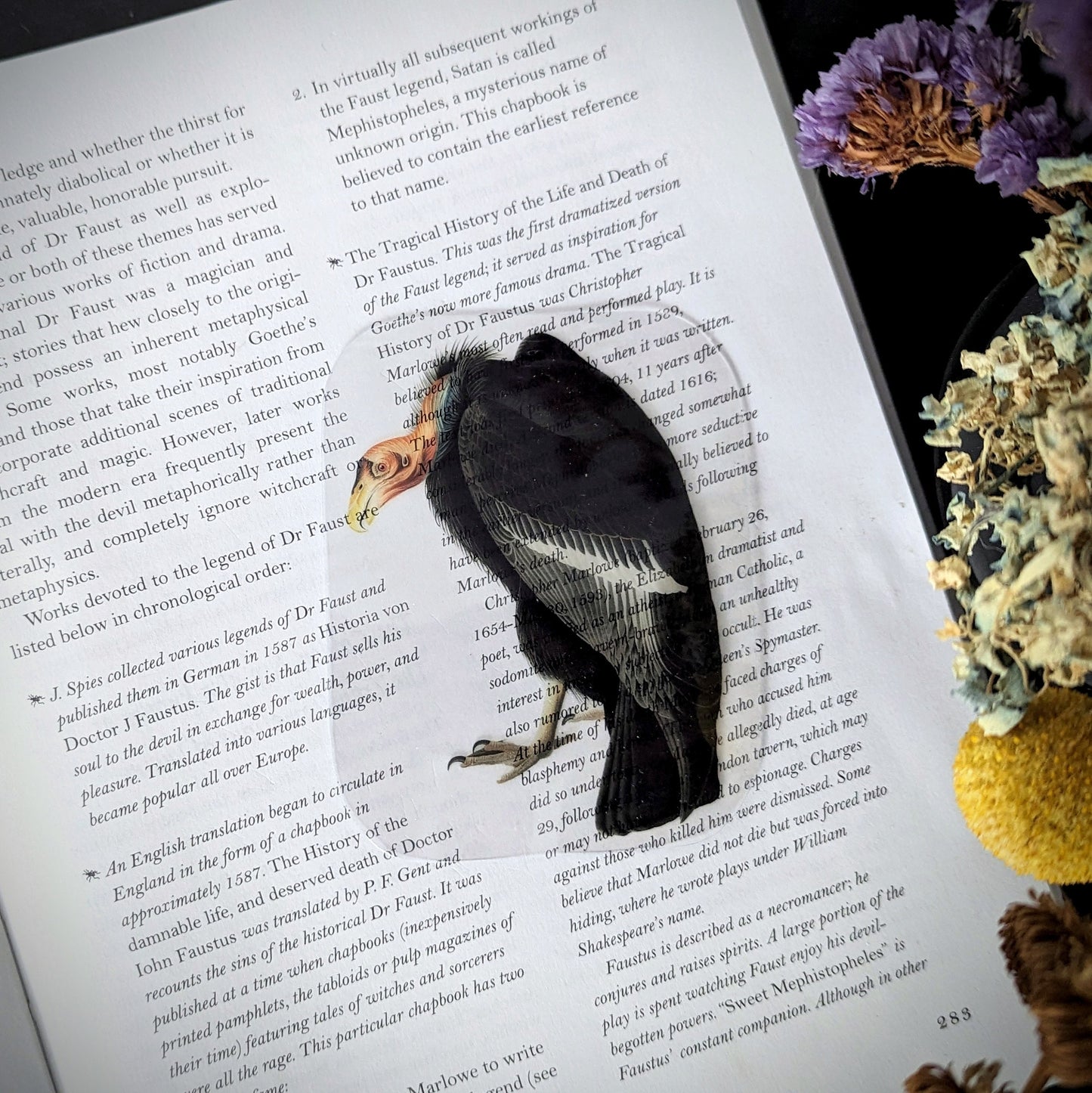 Clear Bookmark Vintage Illustration Vulture Scavenger Nature Dark Academia Handmade Artist Book Lover Reader Gift