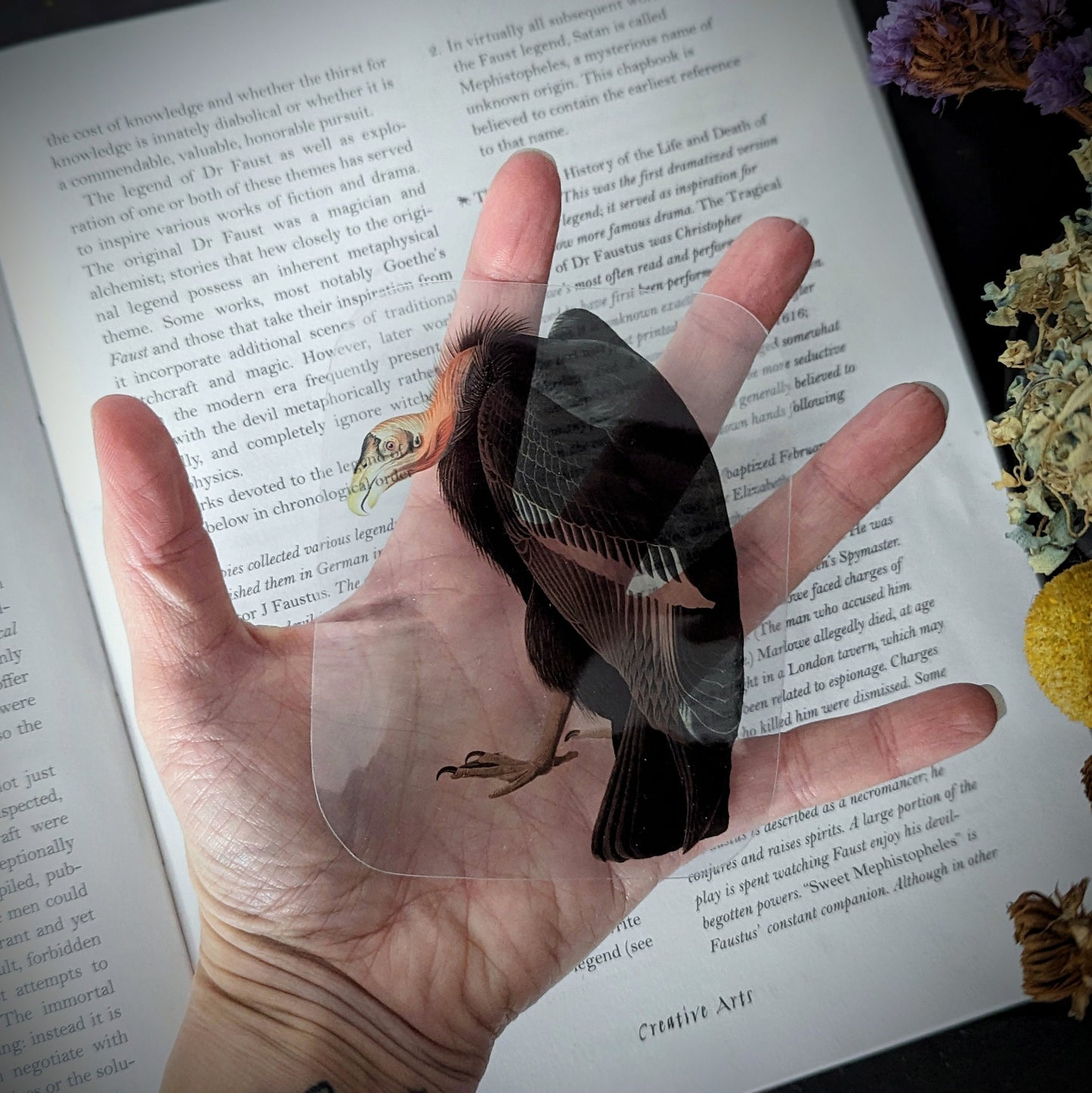 Clear Bookmark Vintage Illustration Vulture Scavenger Nature Dark Academia Handmade Artist Book Lover Reader Gift