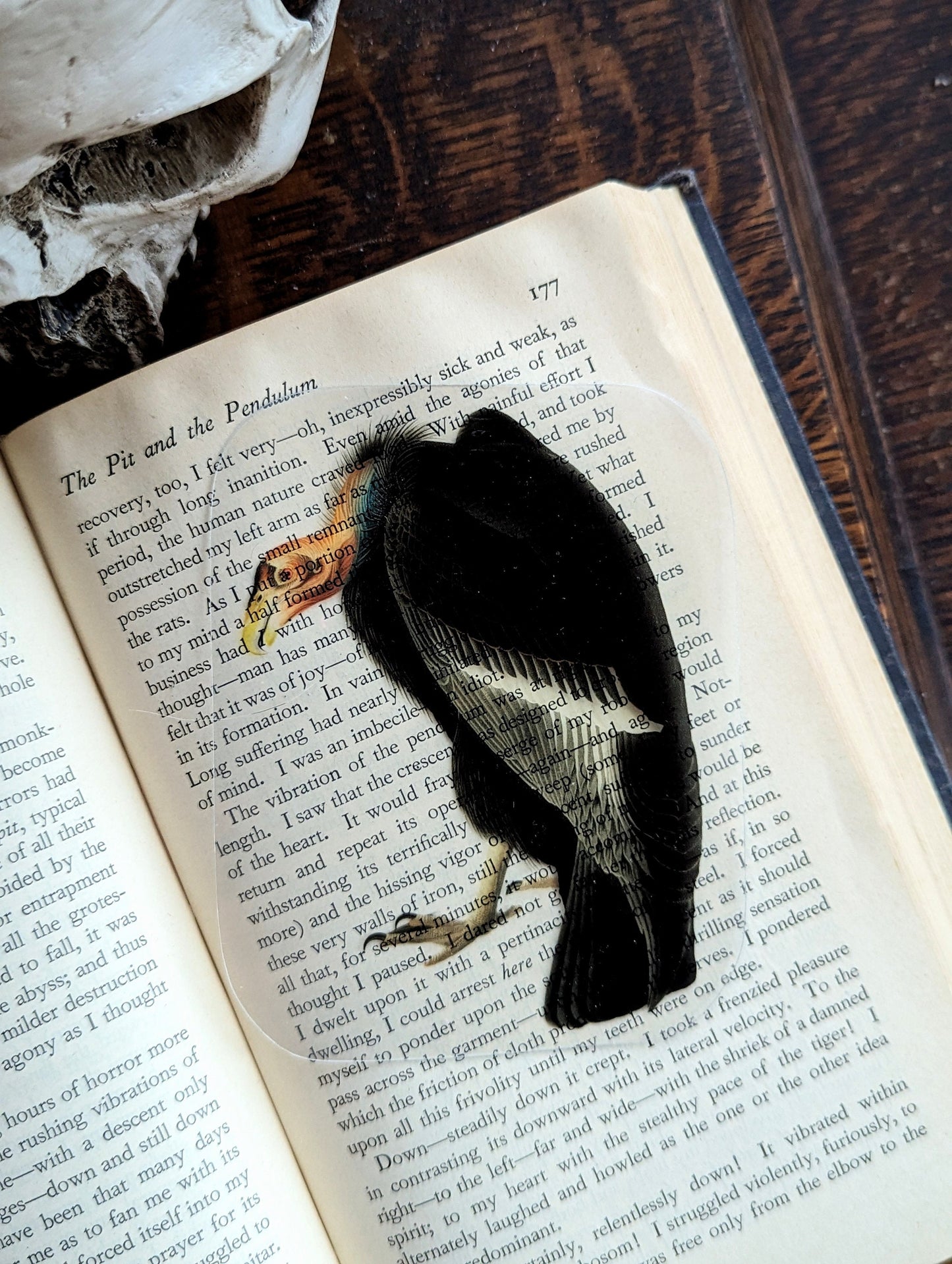 Clear Bookmark Vintage Illustration Vulture Scavenger Nature Dark Academia Handmade Artist Book Lover Reader Gift