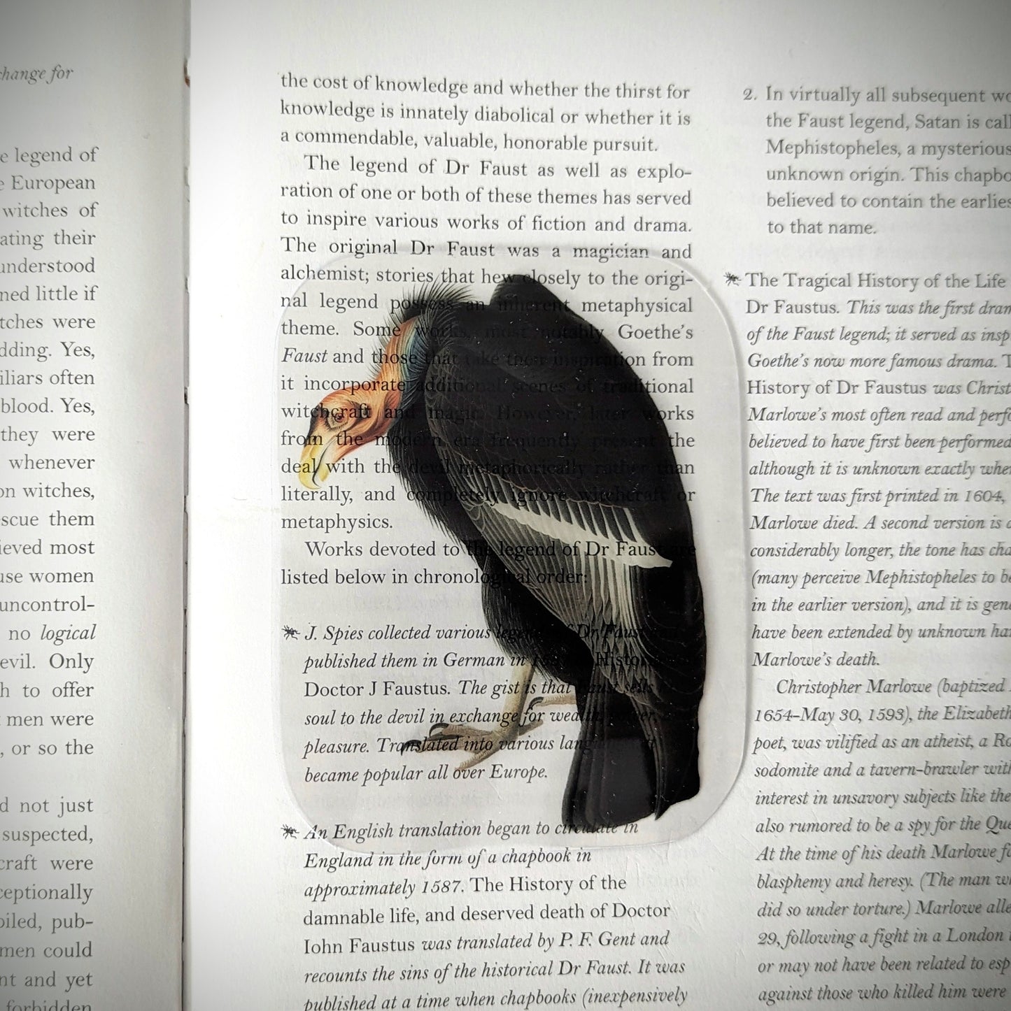 Clear Bookmark Vintage Illustration Vulture Scavenger Nature Dark Academia Handmade Artist Book Lover Reader Gift