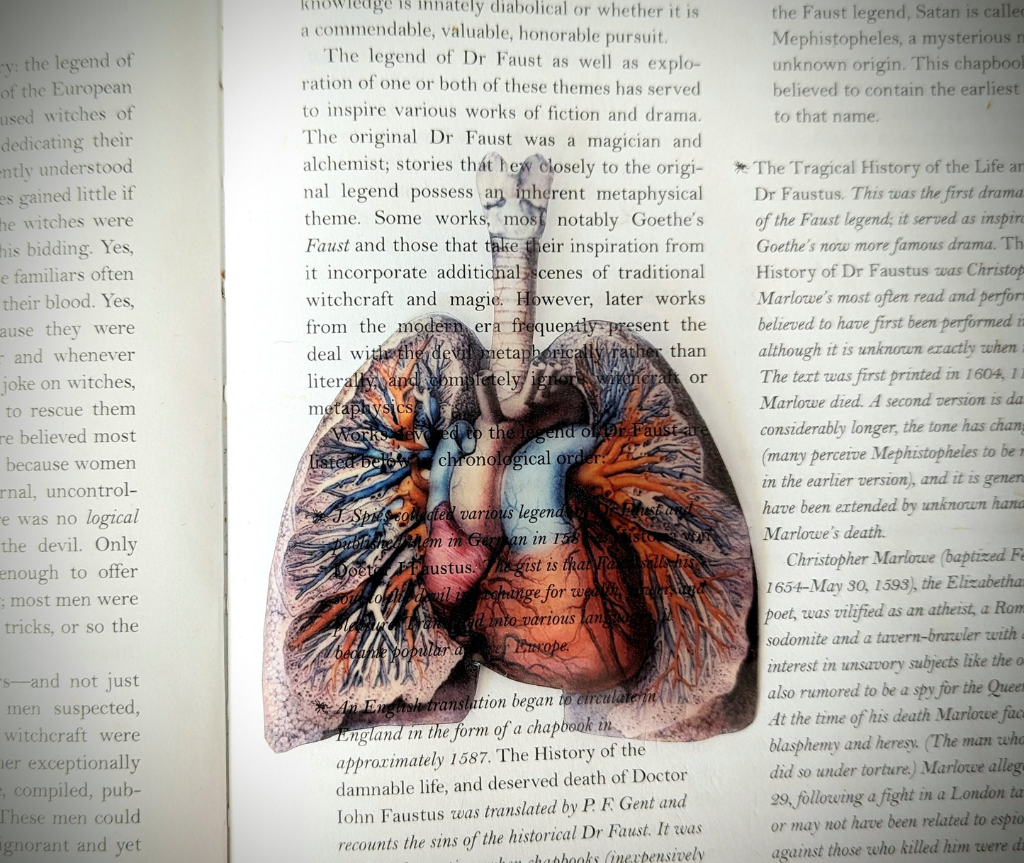 Clear Bookmark Anatomical Human Lungs Heart Medical Anatomy Goth Gothic Halloween Horror Book Reader Lover Gift Vintage Illustration