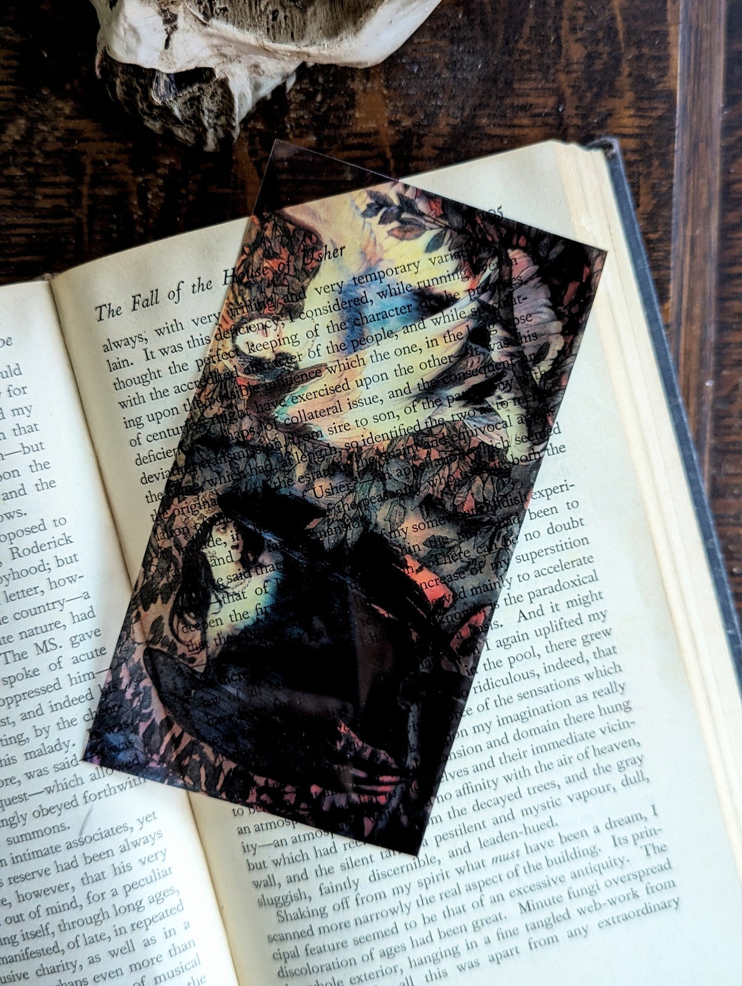 Clear Bookmark Vintage Painting Viktor Vasnetsov Sirin and Alkonost Birds of Joy and Sorrow Dark Academia Book Reader Lover Gift Handmade