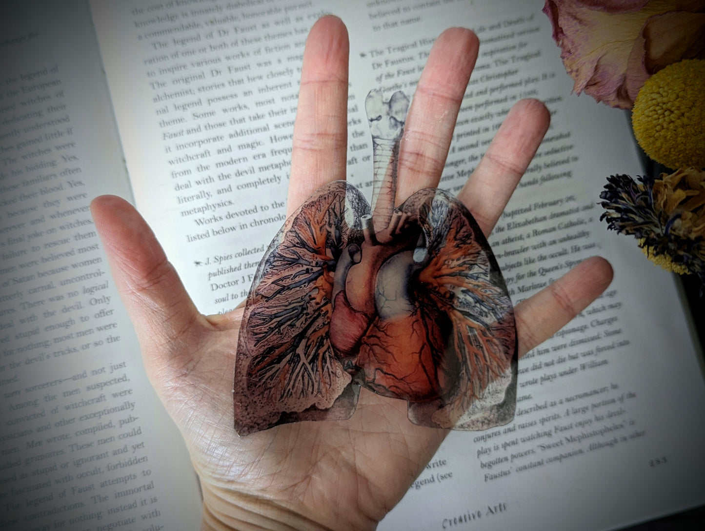 Clear Bookmark Anatomical Human Lungs Heart Medical Anatomy Goth Gothic Halloween Horror Book Reader Lover Gift Vintage Illustration