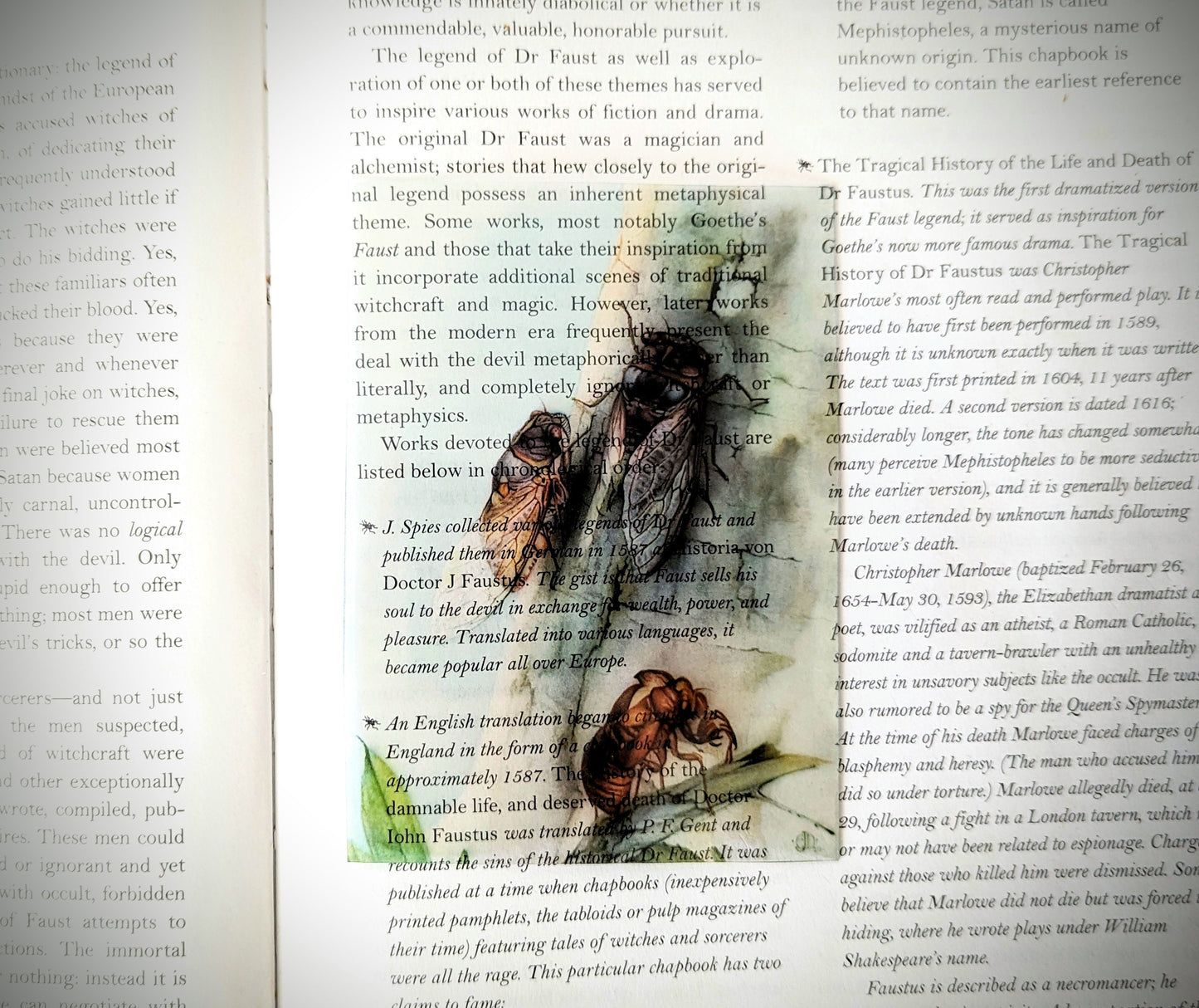 Clear Bookmark Vintage Painting Edward Julius Detmold The Cicada Dark Academia Brood XIX Book Reader Lover Gift Handmade