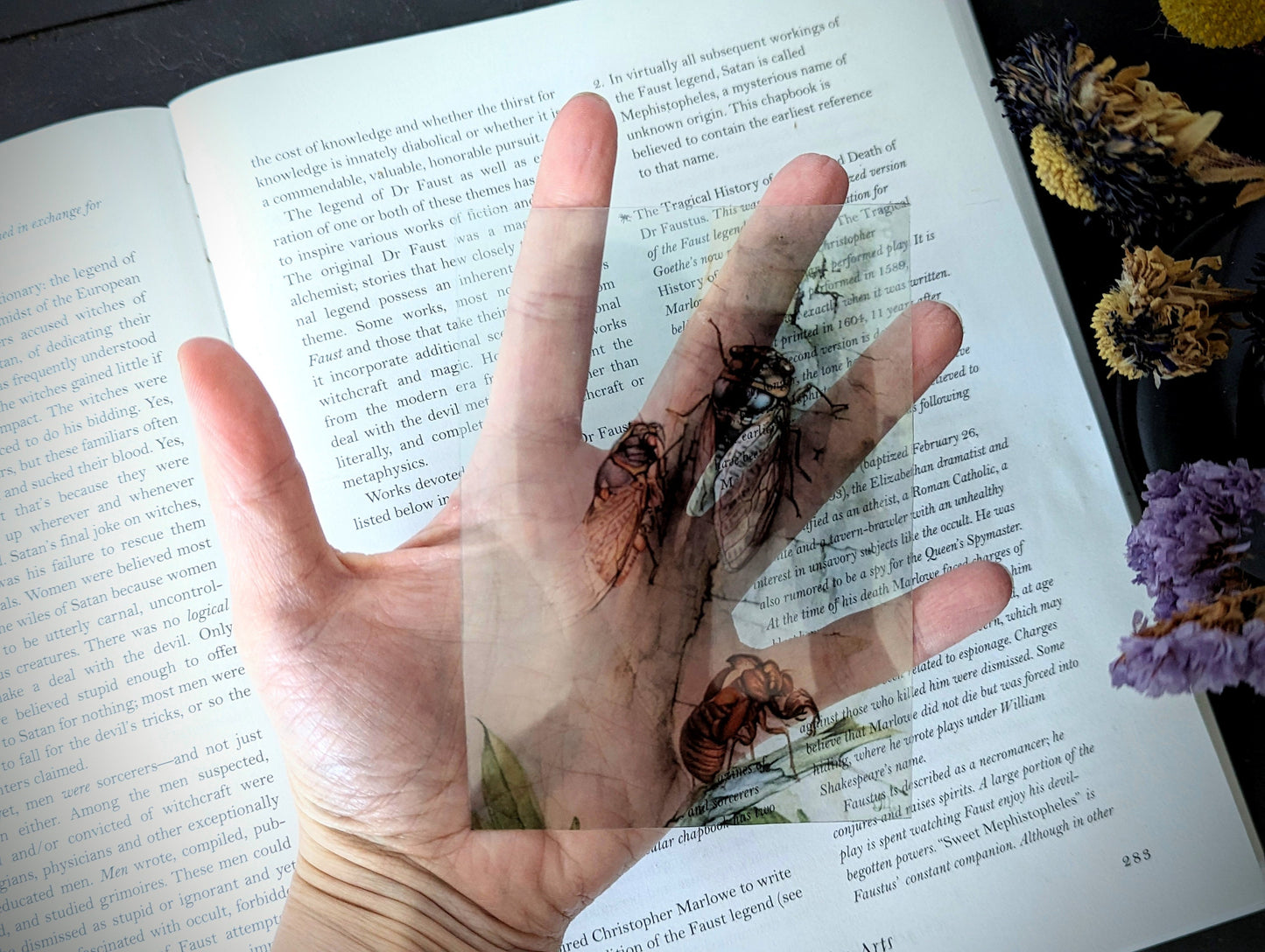 Clear Bookmark Vintage Painting Edward Julius Detmold The Cicada Dark Academia Brood XIX Book Reader Lover Gift Handmade
