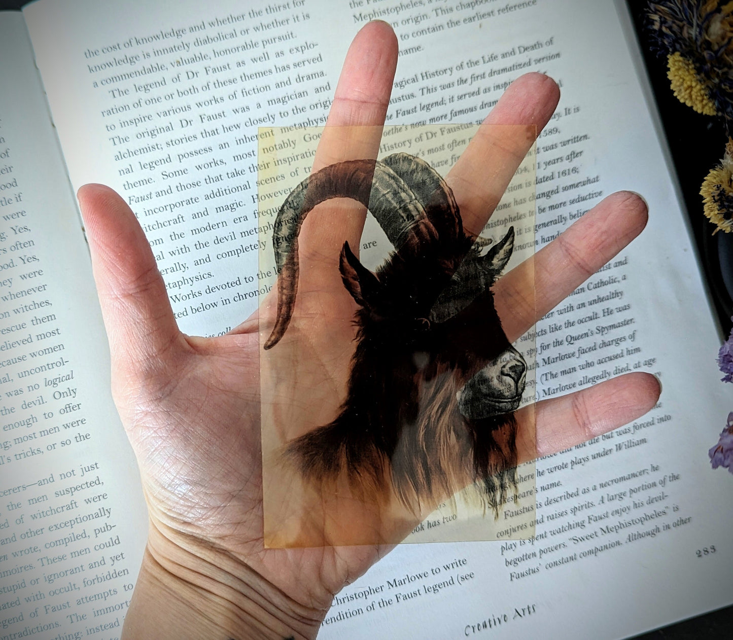 Clear Bookmark Vintage Painting Black Goat Sheep Ram Phillip Witch Goth Gothic Halloween Horror Creepy Dark Academia Book Reader Lover Gift