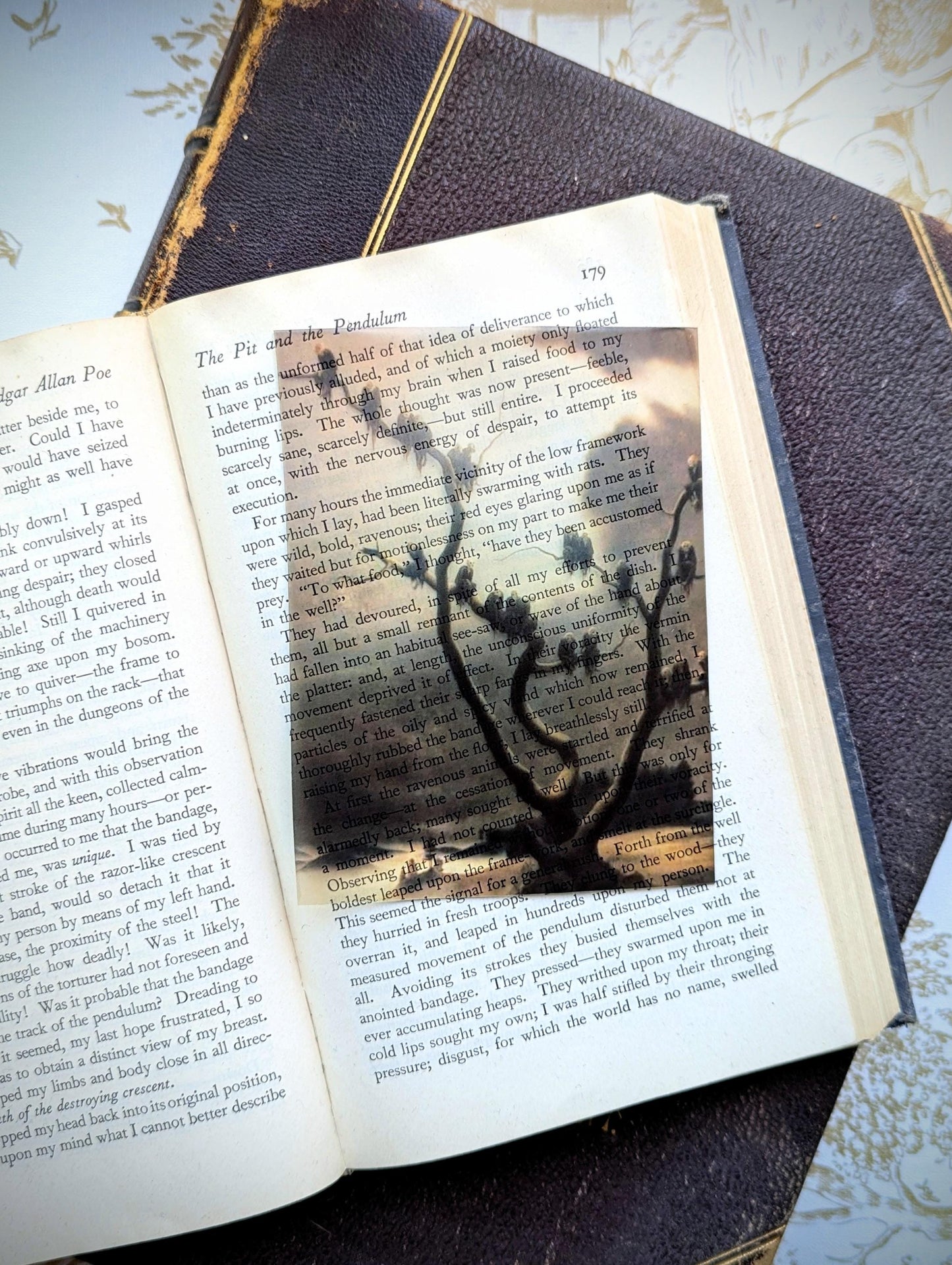 Clear Bookmark Vintage Illustration Ghosts On A Tree Franz Sedlacek Moody Gloomy Gothic Dark Academia Book Reader Lover Gift Handmade