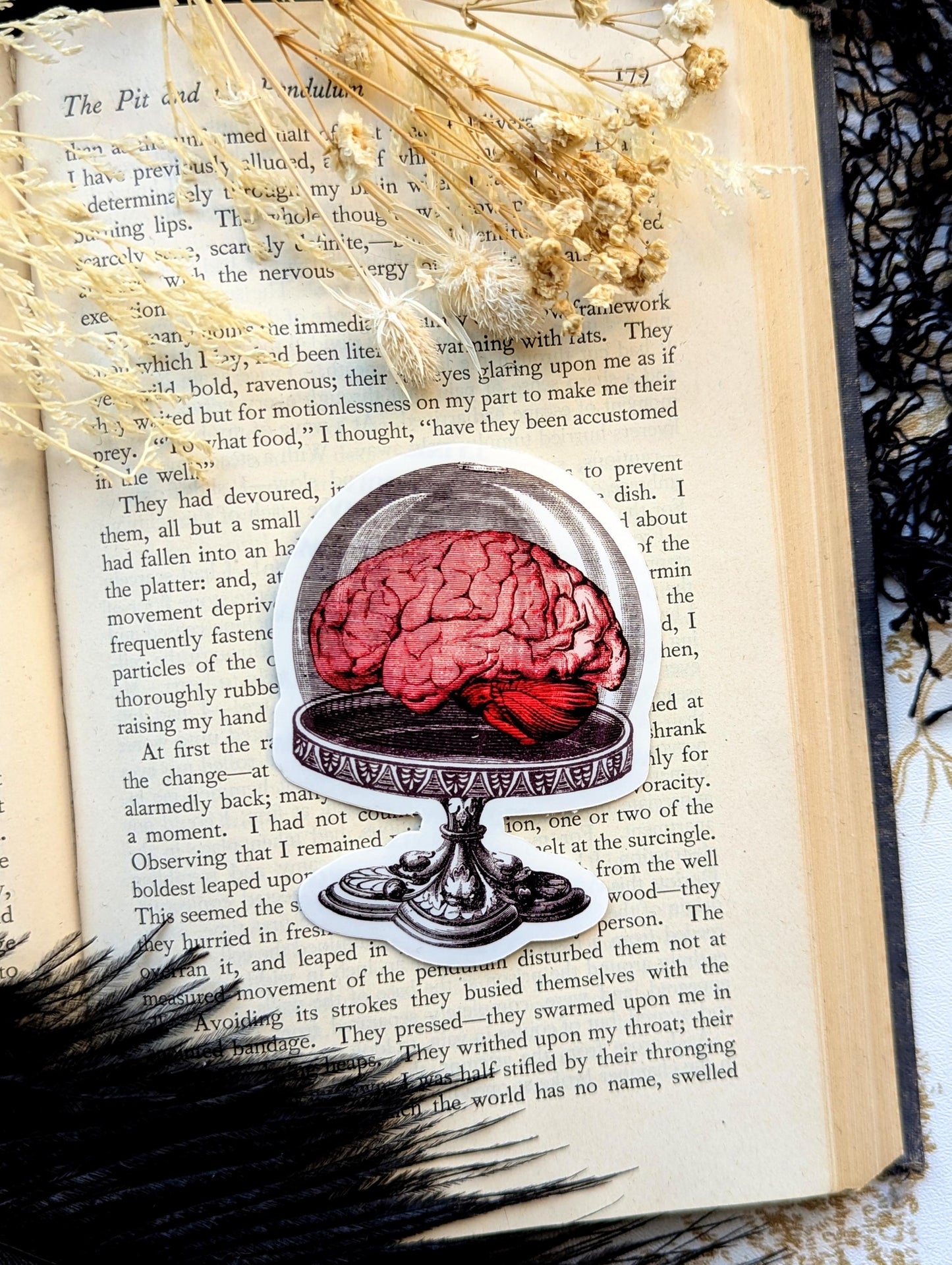 Vinyl Waterproof Sticker Brain Cake Stand Dome Fancy Dinner Dessert Meal Goth Creepy Witch Witchcraft Occult Horror Halloween Weird Dark