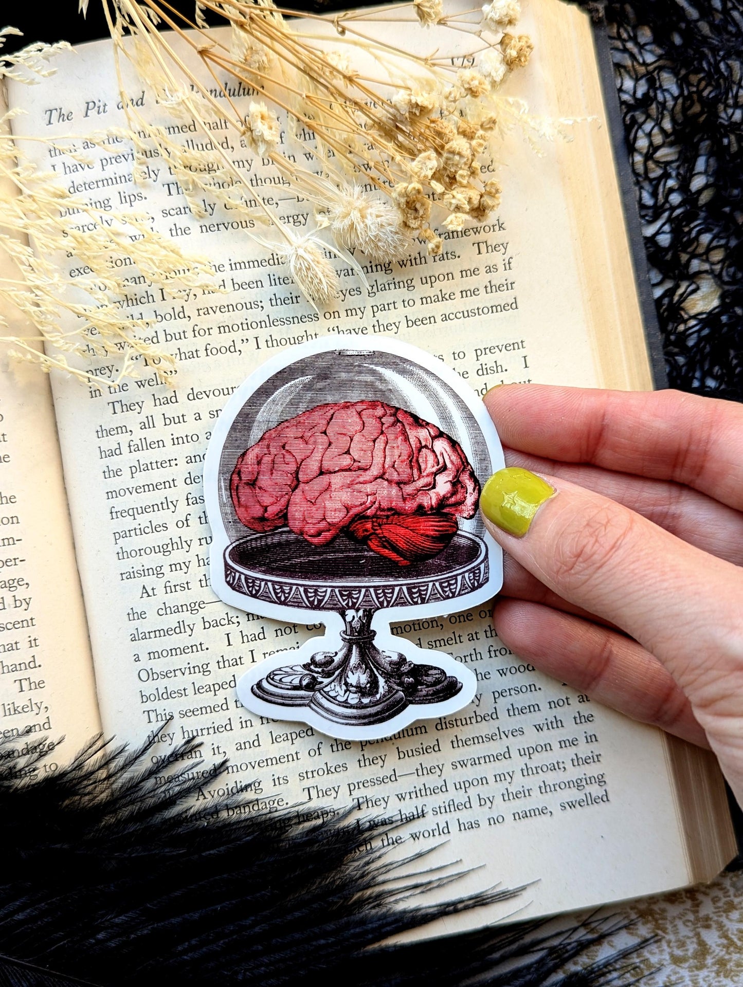 Vinyl Waterproof Sticker Brain Cake Stand Dome Fancy Dinner Dessert Meal Goth Creepy Witch Witchcraft Occult Horror Halloween Weird Dark