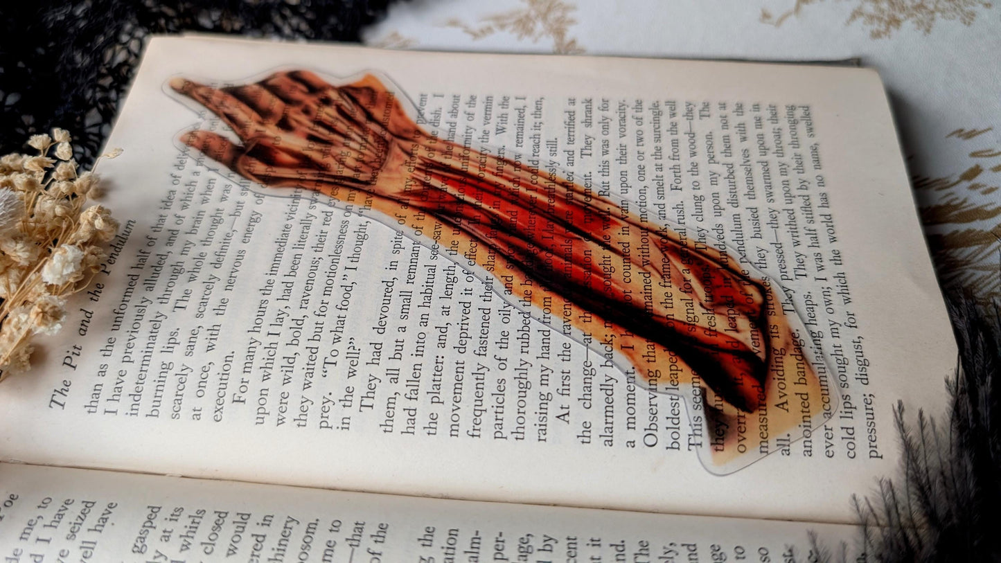 Clear Bookmark Anatomical Human Severed Skinned Arm Medical Anatomy Goth Gothic Halloween Horror Book Reader Lover Gift Vintage Illustration