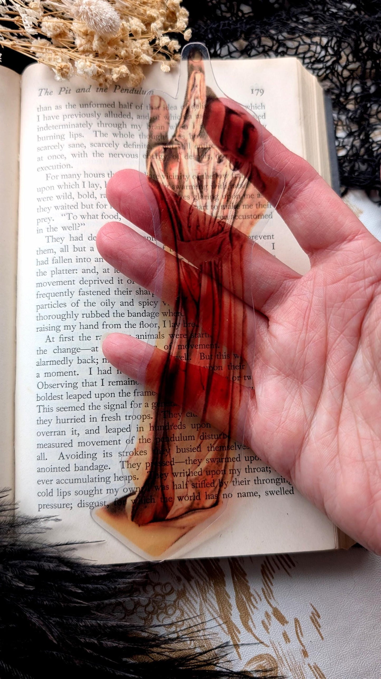 Clear Bookmark Anatomical Human Severed Skinned Arm Medical Anatomy Goth Gothic Halloween Horror Book Reader Lover Gift Vintage Illustration