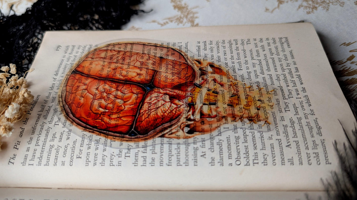 Clear Bookmark Vintage Human Brain and Spine Goth Gothic Halloween Horror Creepy Dark Academia Book Reader Lover Gift Handmade