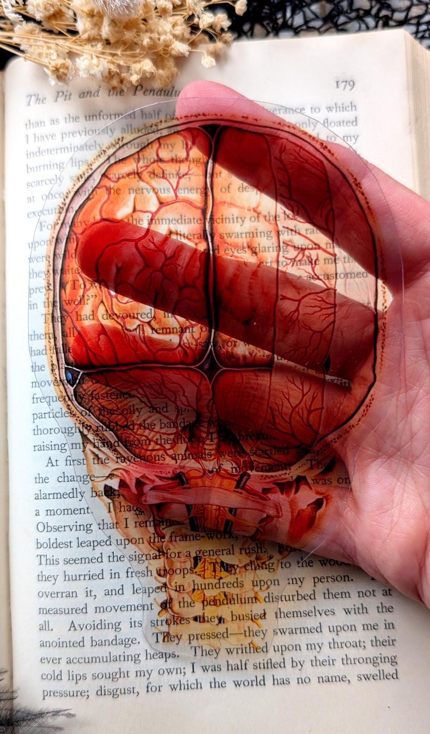 Clear Bookmark Vintage Human Brain and Spine Goth Gothic Halloween Horror Creepy Dark Academia Book Reader Lover Gift Handmade