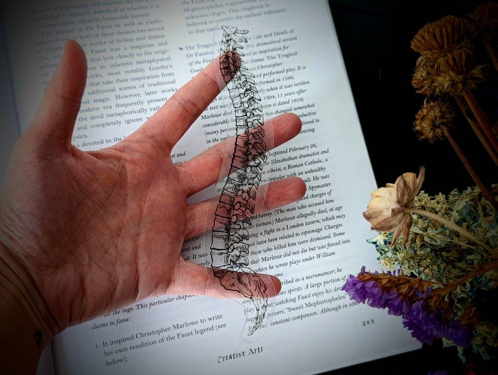 Clear Bookmark Spinal Cord Spine Skeleton Bone Bones Goth Gothic Halloween Horror Creepy Dark Academia Book Reader Lover Gift Handmade