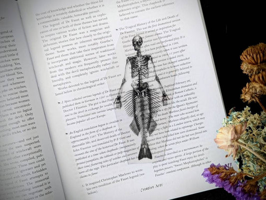 Clear Bookmark Mermaid Skeleton Coffin Witch Goth Gothic Halloween Horror Creepy Oddities