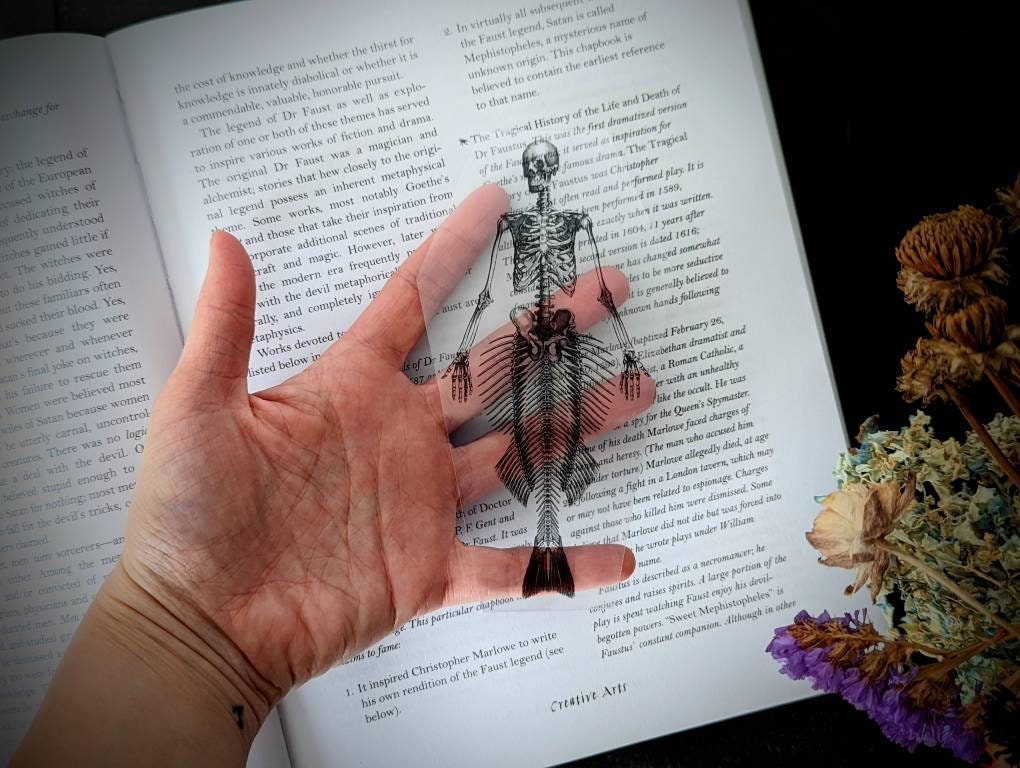 Clear Bookmark Mermaid Skeleton Coffin Witch Goth Gothic Halloween Horror Creepy Oddities
