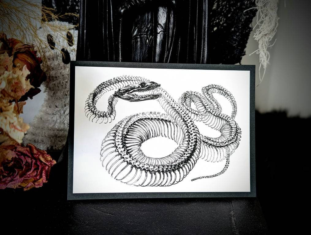 5x7 Art Print Snake Skeleton Goth Gothic Horror Halloween Home Wall Decor Gift Weird Dark Occult Nature
