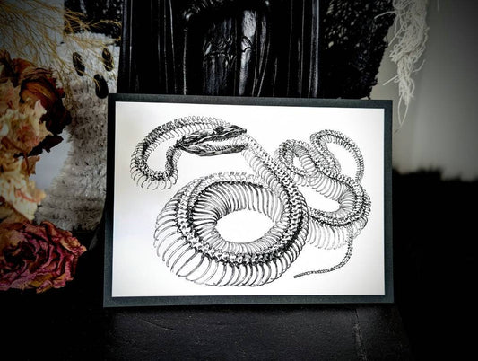 5x7 Art Print Snake Skeleton Goth Gothic Horror Halloween Home Wall Decor Gift Weird Dark Occult Nature