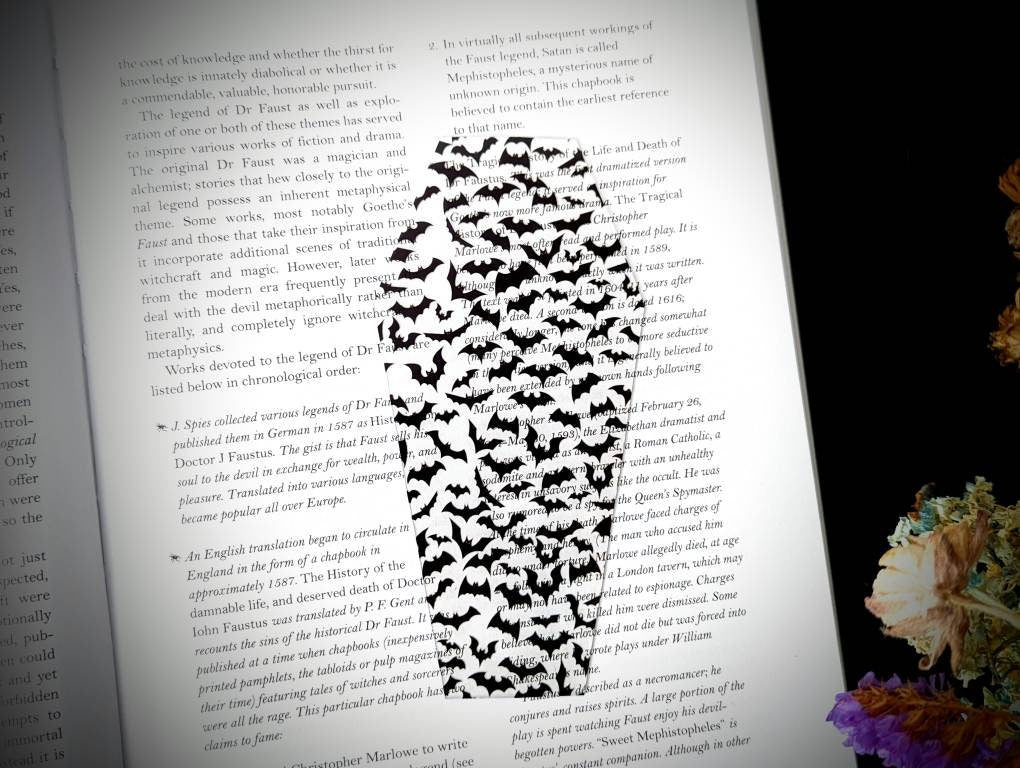 Clear Bookmark Bats Flying Coffin Goth Gothic Halloween Horror Creepy Oddities Weird Dark Art Decor