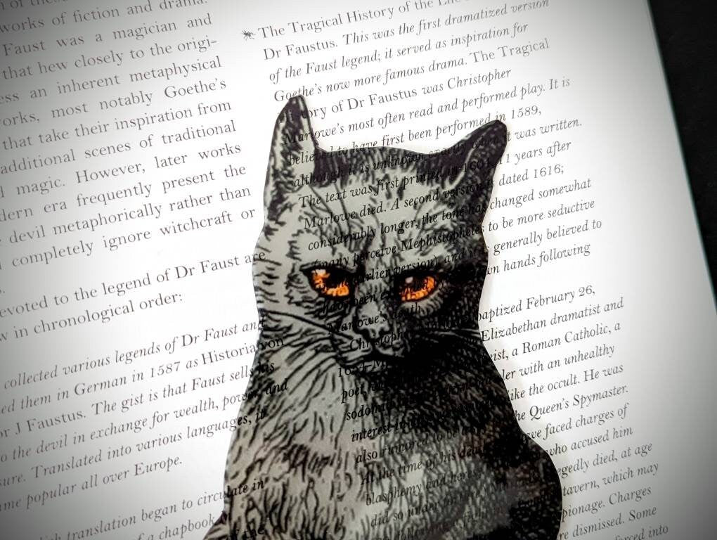 Clear Bookmark Grumpy Angry Sassy Black Cat Goth Gothic Halloween Horror Book Reader Lover Gift